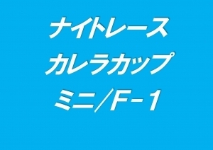 ナイトレース　カレラカップ/ミニ/F-1