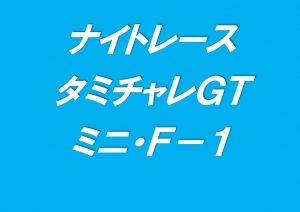 ナイトレース　タミチャレＧＴ/ミニ/F-1