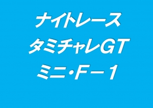 ナイトレース　ﾀﾐﾁｬﾚGT/ﾐﾆ/F-1