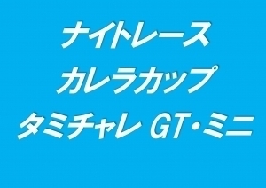 ナイトレース　カレラカップ／タミチャレGT/ミニ