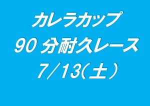 カレラカップ90分耐久レース